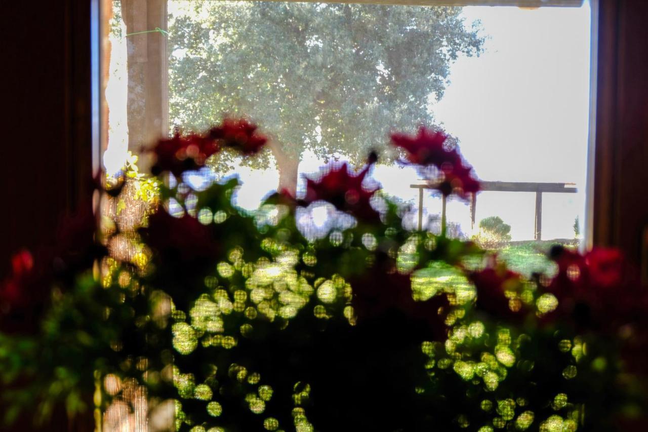Agriturismo Poggio Monte Saturnia Luaran gambar